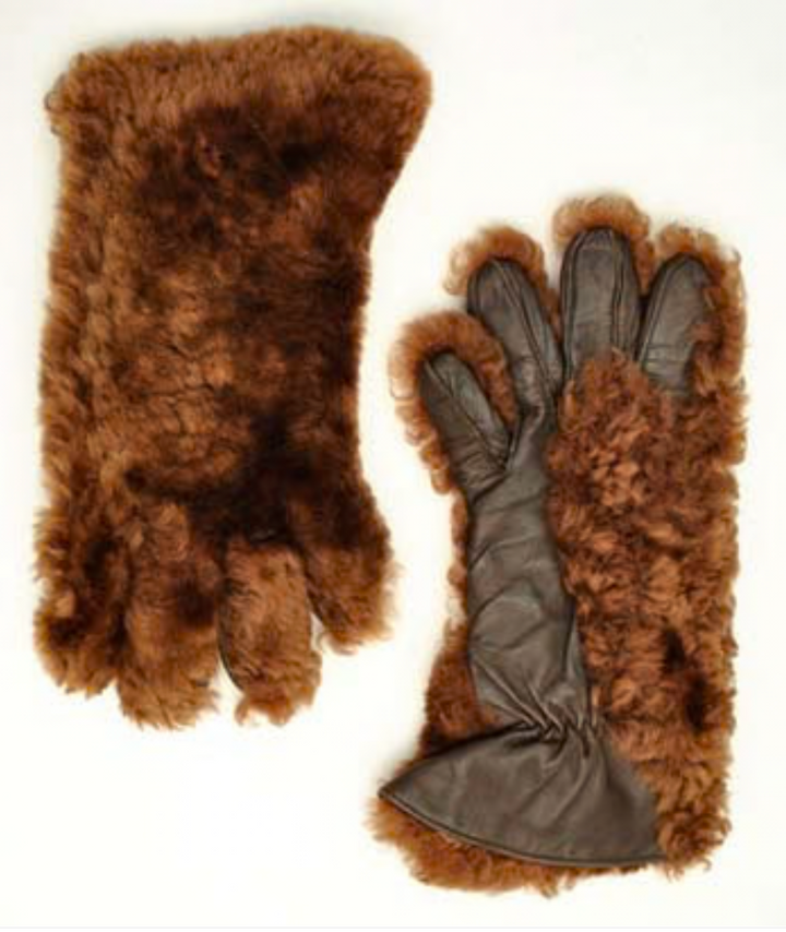 TYPE VGW25 GRIZZLY GLOVES